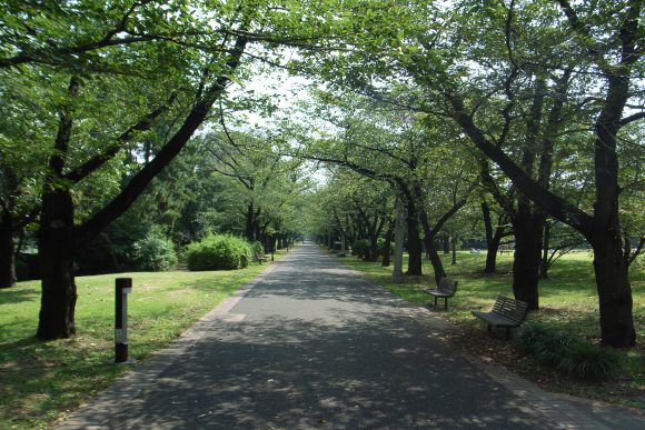 YumenoshimaGreenway