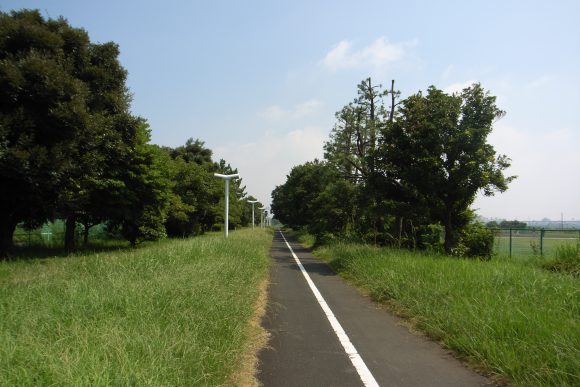 Yumenoshima_greenway