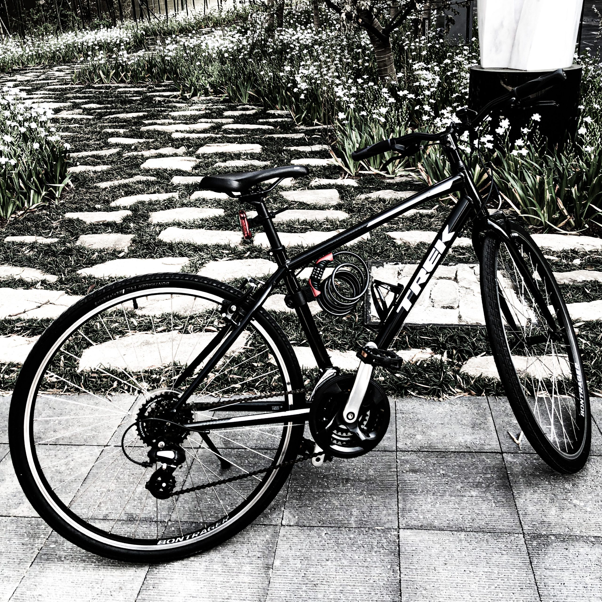 Crossbike-TREK-FX1