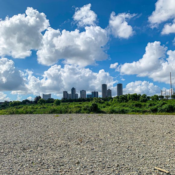 Tamagawa